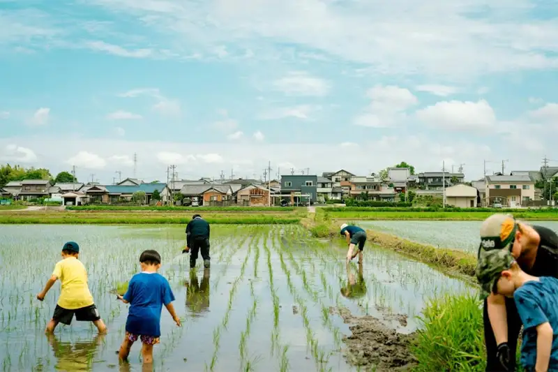 水を張った田んぼで、子どもと大人が並んで苗を植えている